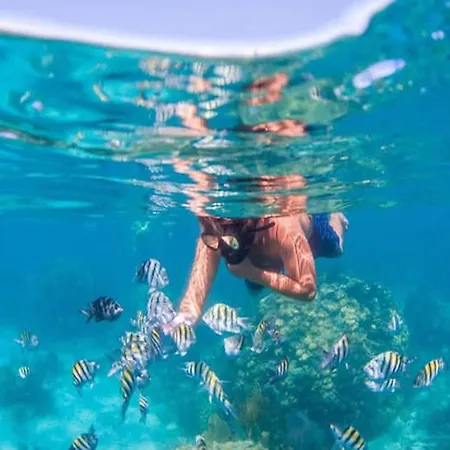 Sunset Terrace With Ocean Views